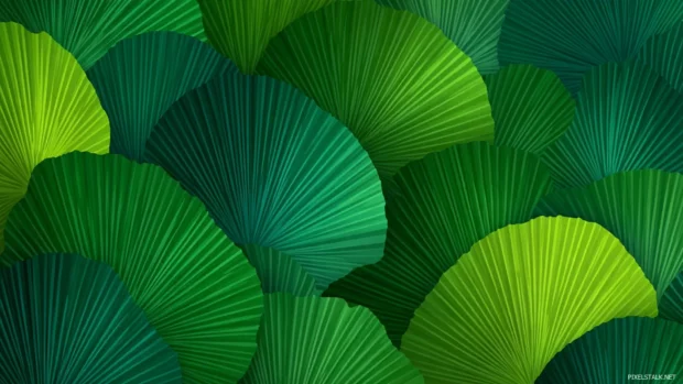 Palm tree leaves in rhythmic repetition with subtle green gradients.