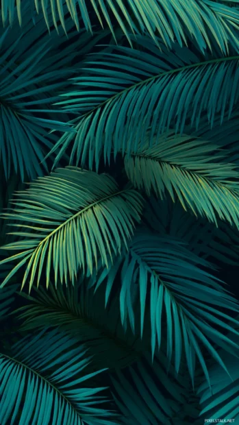 Palm tree leaves subtly layered to create a vertical wave effect.