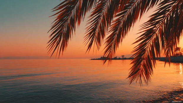 Palm tree leaves swaying gently as the sunset colors reflect on the calm sea, creating a serene mood.