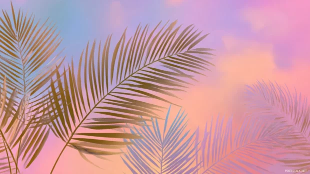 Palm tree leaves wallpaper hd depicting simple palm frond silhouettes on a pastel sunset gradient background.