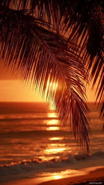Palm tree mobile wallpaper hd showing horizontal sunset stripes with backlit palm fronds silhouette over beach.