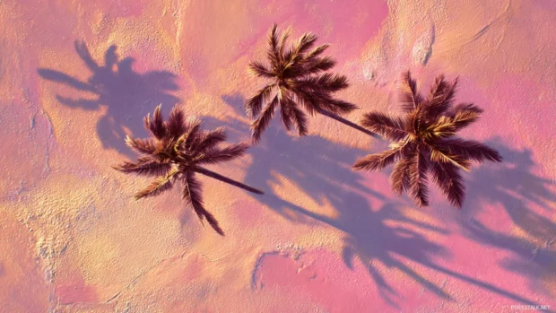 Palm tree shadows stretching across golden sand under a sky blending from soft pink to lavender.