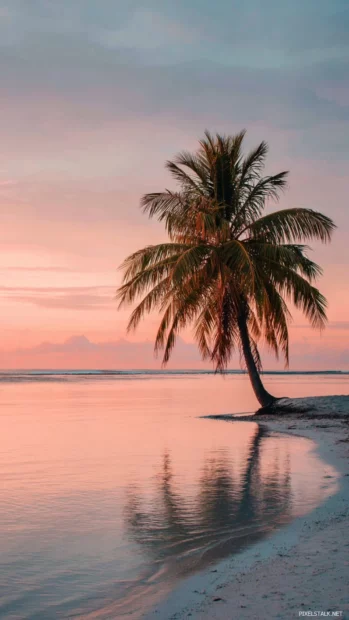 Palm tree standing in calm ocean waters under a peaceful pink sky, creating a vertical beach view.