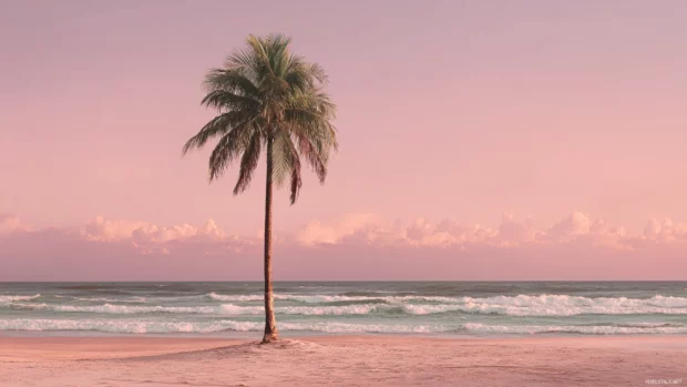 Palm tree standing tall under a soft pink sky with gentle beach waves in the distance.