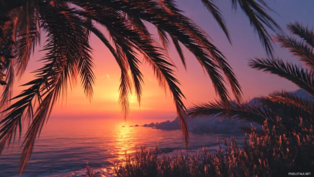 Palm tree sunset 4k wallpaper capturing dramatic sunset light streaming through palm fronds by coastal cliffs.