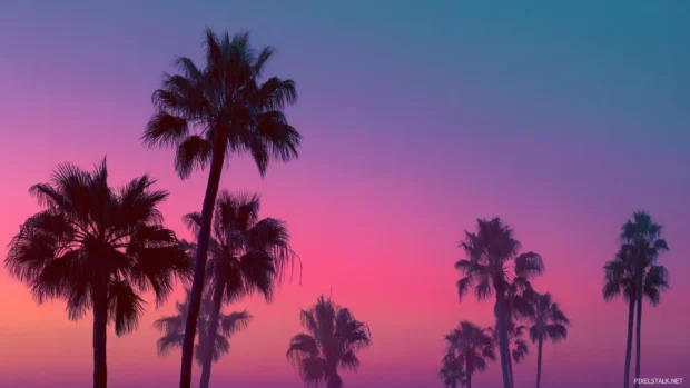 Palm tree sunset iPhone wallpaper style translated to widescreen format with layered palms and magenta sky.