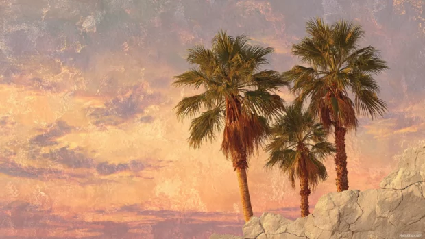Palm tree sunset wall mural wallpaper capturing large scale palms and glowing horizon painted on stone wall texture.