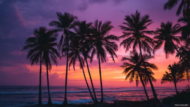 Palm tree sunset wallpaper showing tall palms silhouetted against vibrant coral and purple sky over calm ocean.