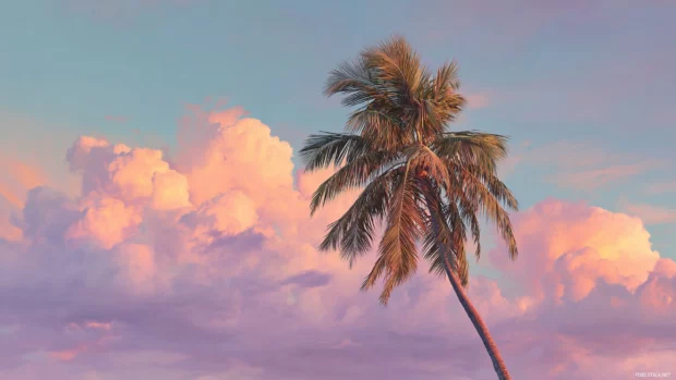 Palm tree swaying in the warm breeze under layers of pastel pink clouds at sunset.