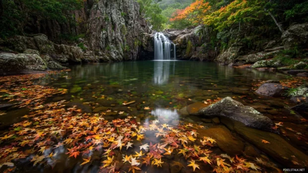 Peaceful waterfall landscape wallpaper depicting serene pool at base of falls with scattered autumn leaves floating on surface.