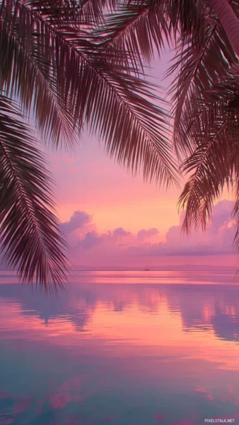 Pink palm tree background hd capturing soft pink reflections on calm sea framed by distant palms.