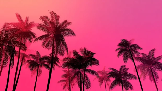 Pink palm tree silhouette wallpaper displaying bold palm outlines on neon pink gradient for dramatic effect.