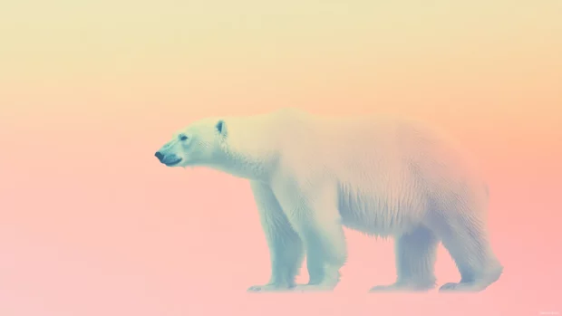 Polar bear aesthetic wallpaper showing a polar bear silhouette fading into a soft pastel sunset gradient.