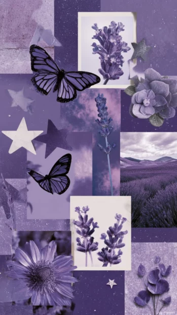 Polaroid style collage with aesthetic lavender details like petals, stars and butterflies.