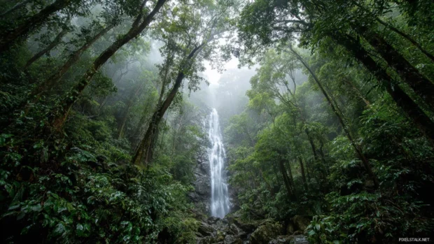 Powerful Waterfall in a rainforest, mist rising high among thick vines and tall trees.