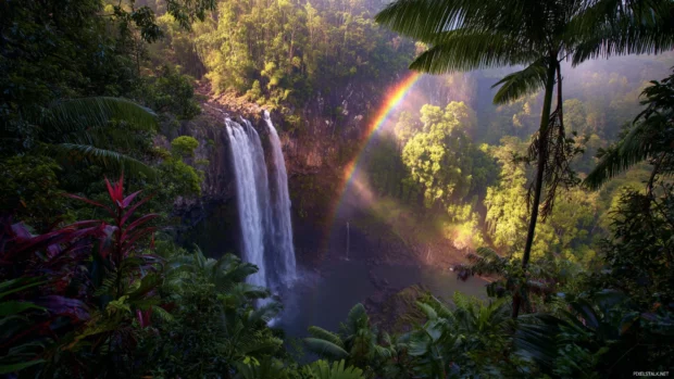 Rainbow waterfall backgrounds showing vibrant rainbow hues above a wide waterfall framed by lush tropical foliage in morning light.
