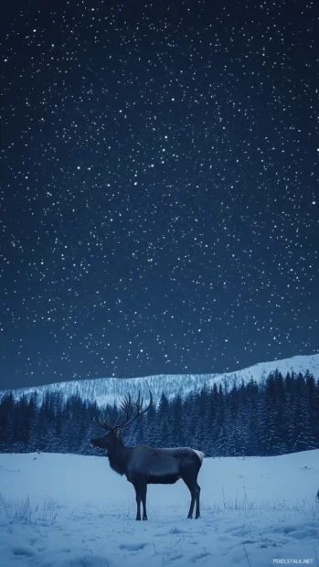 Reindeer wallpaper with stars twinkling in the night sky above a silent winter landscape.