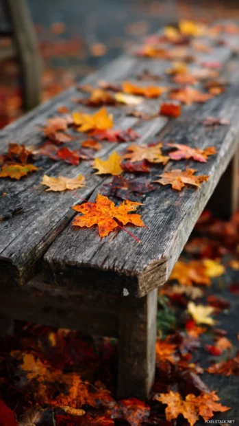 Scattered Fall leaves in vivid hues of orange and yellow adorning a rustic wooden bench.