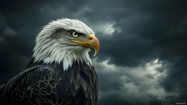 Stormy clouds roll in behind a determined American eagle.