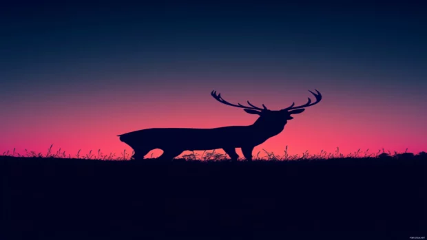 Stylish deer wallpaper for iPhone with a gradient sky and a sharp glowing outline of a stag.