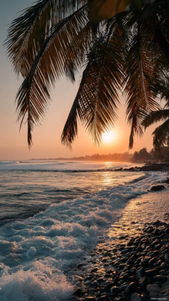 Sunset waves sparkling under the silhouette of an aesthetic palm tree in a peaceful beach view.
