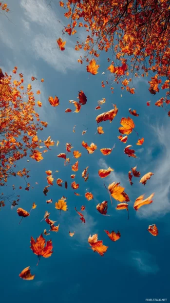 The beauty of Fall captured through vibrant leaves falling against a bright blue sky.