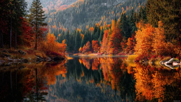 The beauty of fall forest reflected on a calm lake, surrounded by trees in vibrant orange, red, and yellow hues.
