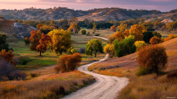 The rustic beauty of fall captured in a landscape with winding dirt roads, colorful trees, and soft rolling fields.