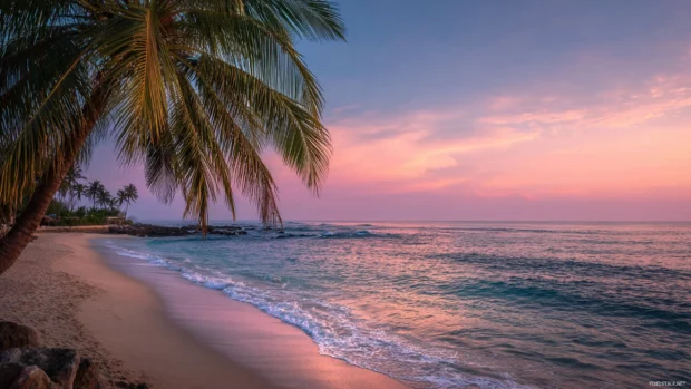 Tropical beach view with palm tree leaves catching the soft pink glow of the fading sun.