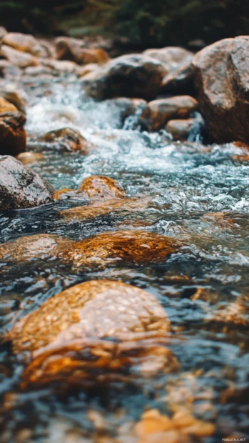 Trout fishing iPhone wallpaper showing a clear mountain stream with shimmering rocks and vibrant detail.