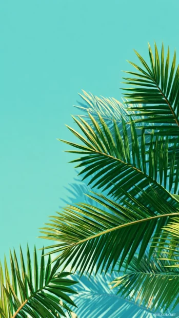 Vertical alignment of Palm tree leaves creating a clean, minimalist style.