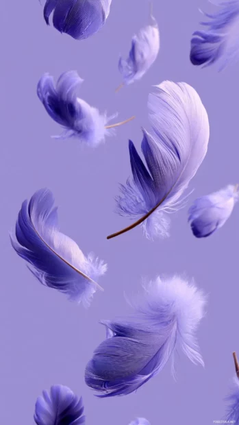 Vertical wallpaper featuring floating feathers on a smooth lavender color background.