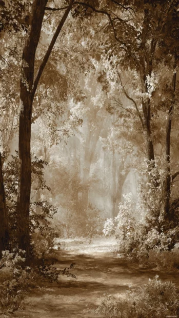 Vintage fall vibes wallpaper depicting sepia toned woodland scene with soft lighting.