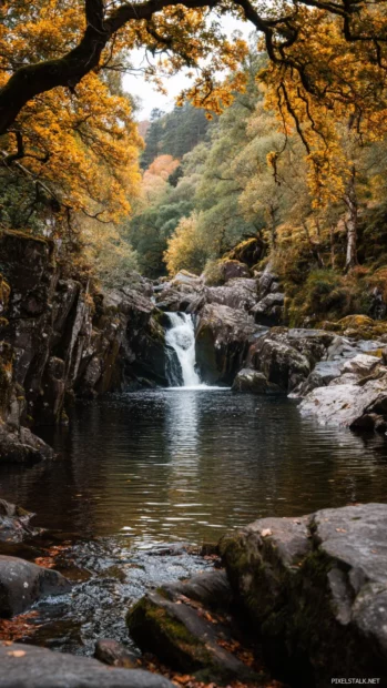 Waterfall tumbling into a peaceful river, framed by vibrant autumn trees and golden leaves.