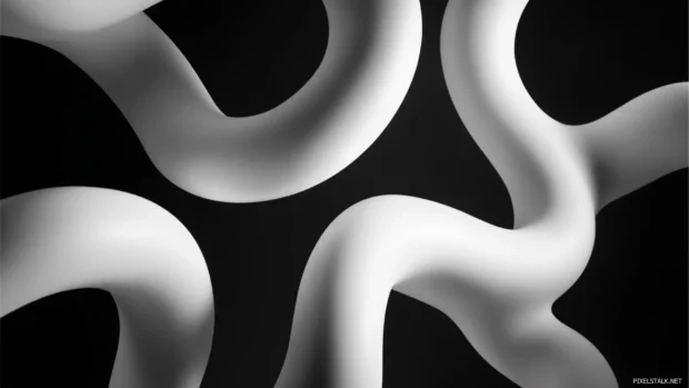 Wave inspired Black and White Geometric curves interlocking in a rhythmic, flowing formation.