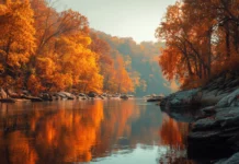 4k autumn desktop wallpaper presenting wide riverbend flanked by glowing fall trees on both banks.
