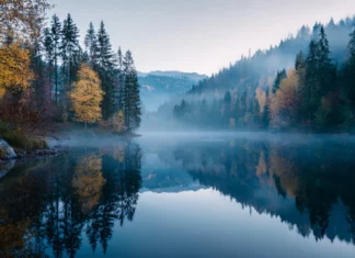 4k autumn laptop wallpaper showing high resolution misty forest reflecting in a lake at dawn.
