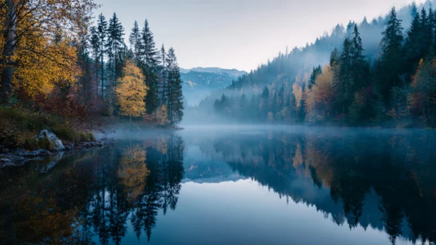 4k autumn laptop wallpaper showing high resolution misty forest reflecting in a lake at dawn.