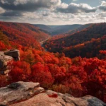 4k beautiful fall wallpaper featuring dramatic cliffside overlooking a valley ablaze in red and orange trees.