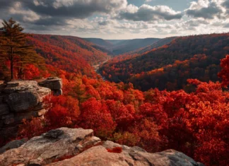 4k beautiful fall wallpaper featuring dramatic cliffside overlooking a valley ablaze in red and orange trees.