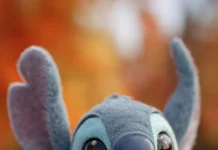 A close up of Stitch holding a large maple leaf, with Fall colors softly blurring in the background.