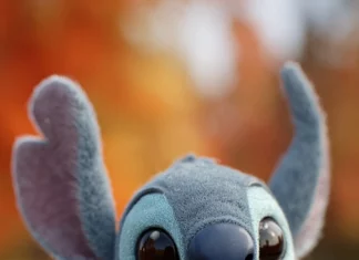 A close up of Stitch holding a large maple leaf, with Fall colors softly blurring in the background.
