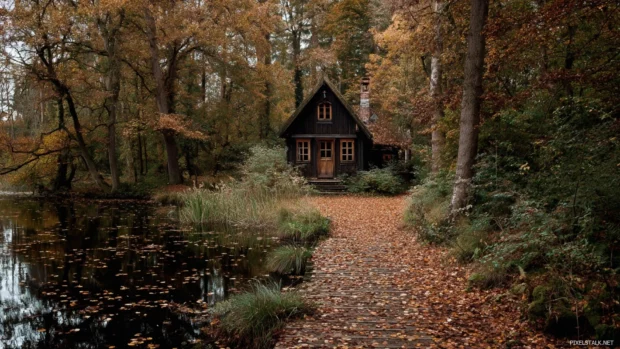 A peaceful lakeside cottage nestled in Beautiful Autumn woods with a carpet of fallen leaves surrounding it.