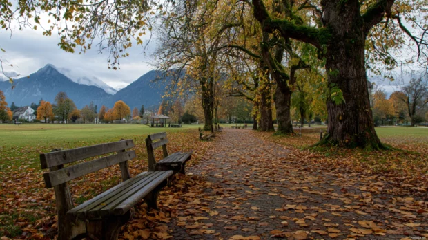 A quiet park in Autumn filled with fallen leaves, wooden benches and distant mountains creating a serene scene.