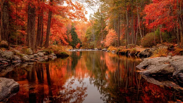 A quiet riverbank in Fall reflecting the rich reds and oranges of the surrounding forest.