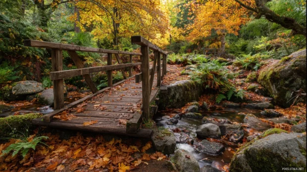 A rustic wooden bridge crossing a small stream, surrounded by Beautiful Autumn foliage and fallen leaves.