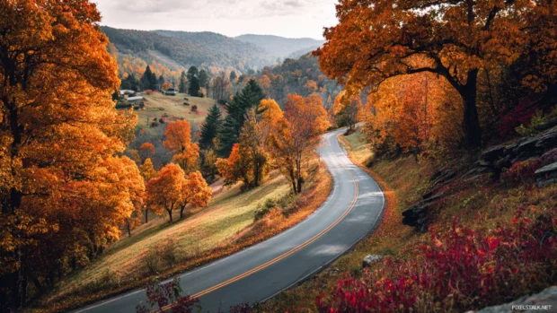 A scenic road winding through Beautiful Autumn hills covered in rich shades of orange, red, and yellow.