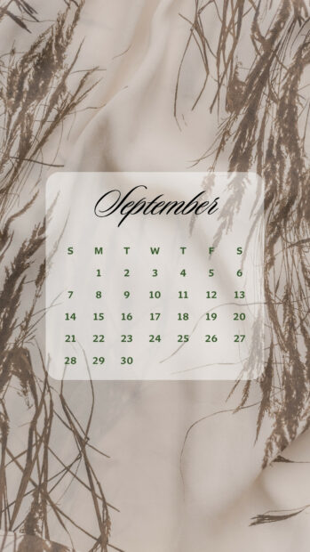 Aesthetic September 2025 Calendar Wallpapers for Mobile Screens (4).