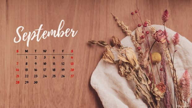 Aesthetic September 2025 Desktop Calendar Wallpapers (2).