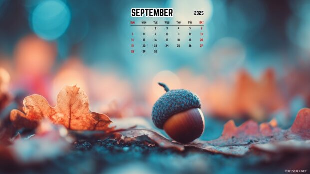 Aesthetic September 2025 Desktop Calendar Wallpapers (4).